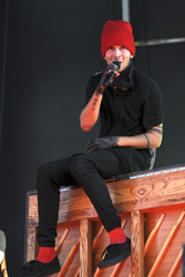 Lollapalooza Festival 2015 in Chicago