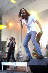 Lollapalooza Festival 2015 in Chicago
