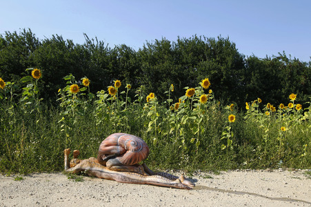 NATURE ART: Schnecke / Snail Bodypainting