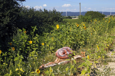NATURE ART: Schnecke / Snail Bodypainting