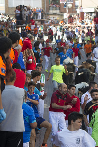 Sierlauf in San Sebastian de los Reyes