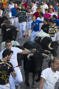 Sierlauf in San Sebastian de los Reyes