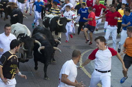 Sierlauf in San Sebastian de los Reyes