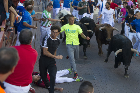 Sierlauf in San Sebastian de los Reyes
