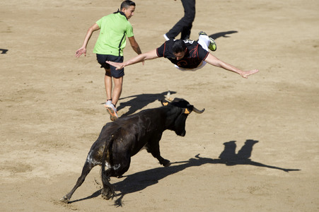 Sierlauf in San Sebastian de los Reyes