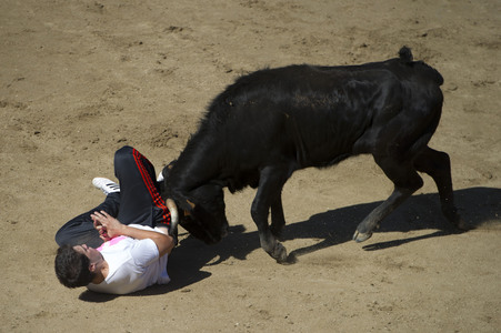 Sierlauf in San Sebastian de los Reyes