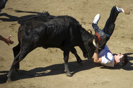 Sierlauf in San Sebastian de los Reyes