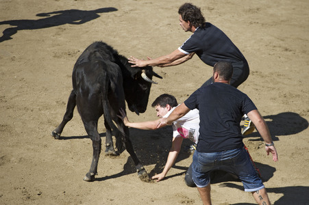 Sierlauf in San Sebastian de los Reyes
