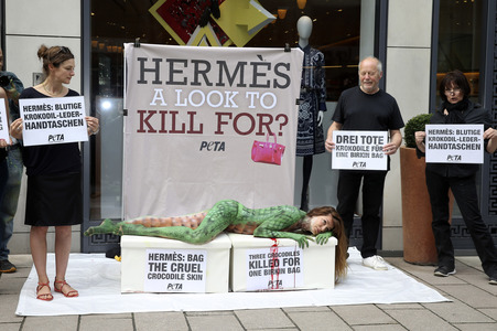 Peta Aktion gegen gegen Krokodilmord in Hamburg