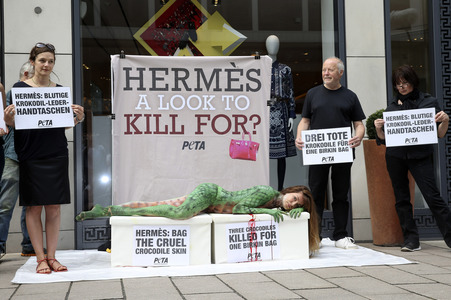 Peta Aktion gegen gegen Krokodilmord in Hamburg