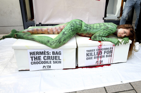 Peta Aktion gegen gegen Krokodilmord in Hamburg