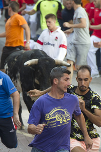 Sierlauf in San Sebastian de los Reyes