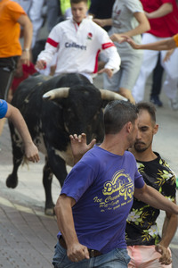 Sierlauf in San Sebastian de los Reyes