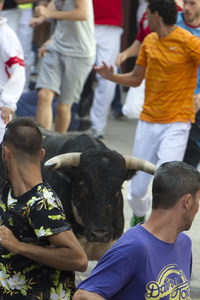 Sierlauf in San Sebastian de los Reyes