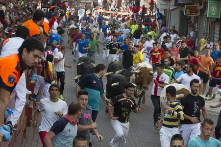 Sierlauf in San Sebastian de los Reyes