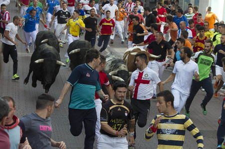 Sierlauf in San Sebastian de los Reyes
