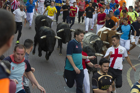 Sierlauf in San Sebastian de los Reyes
