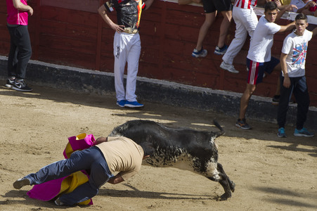 Sierlauf in San Sebastian de los Reyes