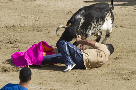 Sierlauf in San Sebastian de los Reyes