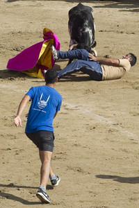 Sierlauf in San Sebastian de los Reyes