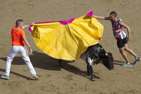 Sierlauf in San Sebastian de los Reyes