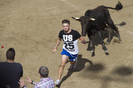 Sierlauf in San Sebastian de los Reyes