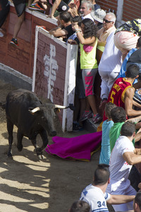 Sierlauf in San Sebastian de los Reyes