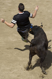 Sierlauf in San Sebastian de los Reyes