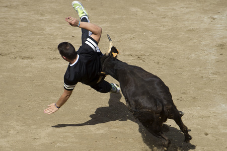 Sierlauf in San Sebastian de los Reyes