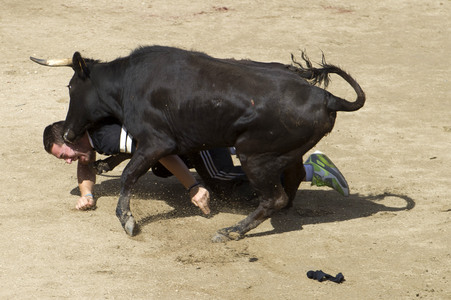 Sierlauf in San Sebastian de los Reyes