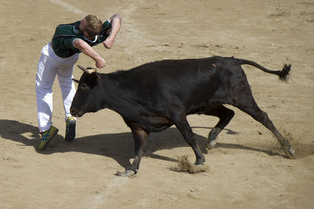 Sierlauf in San Sebastian de los Reyes