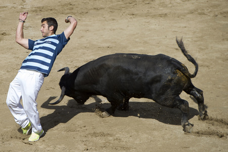 Sierlauf in San Sebastian de los Reyes