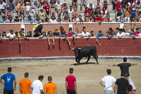 Sierlauf in San Sebastian de los Reyes