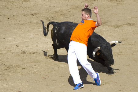 Sierlauf in San Sebastian de los Reyes