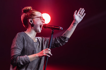 Stars for Free 2015 in Chemnitz