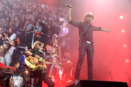 Stars For Free 2015 in Berlin