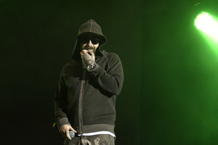 Stars For Free 2015 in Berlin
