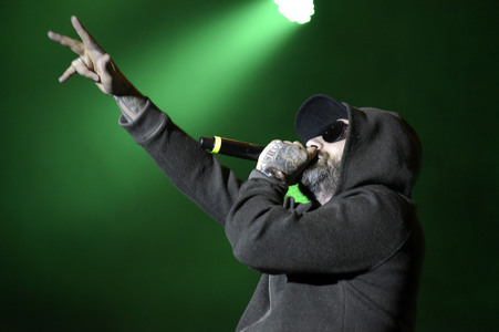 Stars For Free 2015 in Berlin