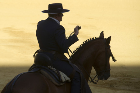 Stierkampffestival in Alcalá de Henares