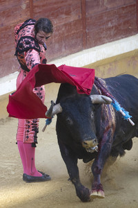Stierkampffestival in Alcalá de Henares