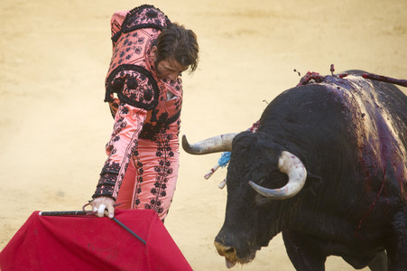 Stierkampffestival in Alcalá de Henares