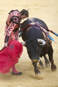 Stierkampffestival in Alcalá de Henares
