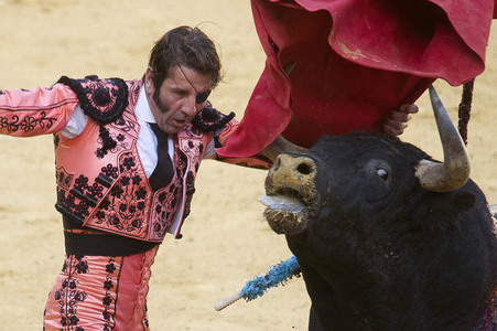 Stierkampffestival in Alcalá de Henares
