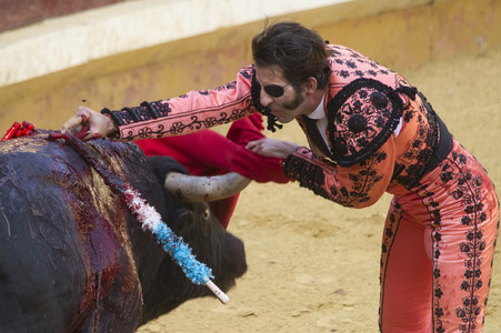 Stierkampffestival in Alcalá de Henares