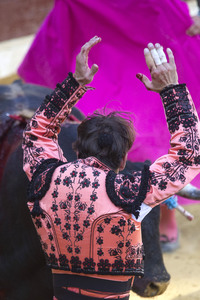 Stierkampffestival in Alcalá de Henares