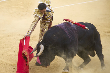 Stierkampffestival in Alcalá de Henares