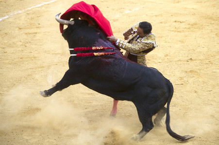 Stierkampffestival in Alcalá de Henares