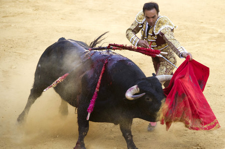 Stierkampffestival in Alcalá de Henares