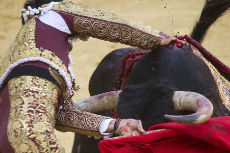 Stierkampffestival in Alcalá de Henares