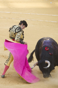 Stierkampffestival in Alcalá de Henares